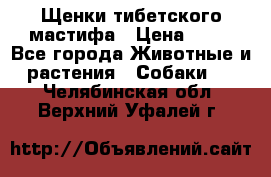 Щенки тибетского мастифа › Цена ­ 80 - Все города Животные и растения » Собаки   . Челябинская обл.,Верхний Уфалей г.